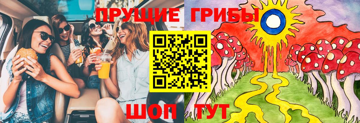 Галлюциногенные грибы GOLDEN TEACHER Чехов