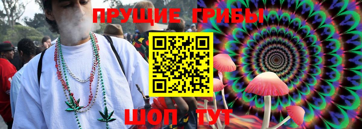 Псилоцибиновые грибы Cubensis  наркотики  Чехов  Вход с VPN 